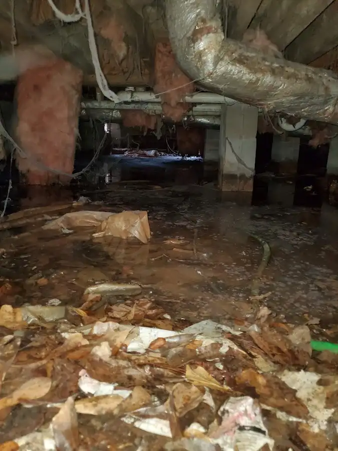 Crawl space flood assessment for Leak Detection & Repair in Wasco